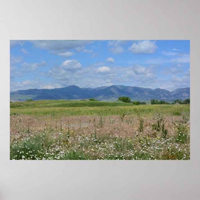 Summer Colorado Landschaft Poster (Vorne)