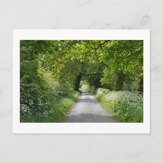 Summer Country Road: Cheshire Postcard Postkarte (Vorderseite)