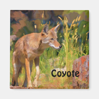 Summer Coyote Wildlife Painting Magnet