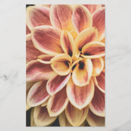 Summer Dahlia Blume (Floral Art) Briefpapier