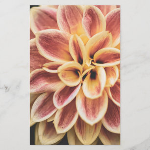 Summer Dahlia Blume (Floral Art) Briefpapier