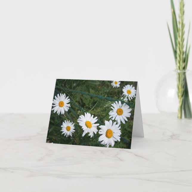 Summer Daisies Blank Folded Grußkarte Karte (Vorderseite)