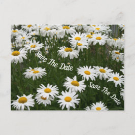Summer Daisy Blume Save the Date Postcard Ankündigungspostkarte