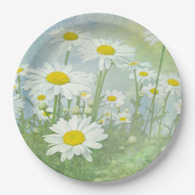 Summer Daisy Field Pappteller (Vorderseite)