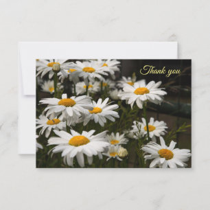 Summer Daisy Flat Danke-Card Dankeskarte