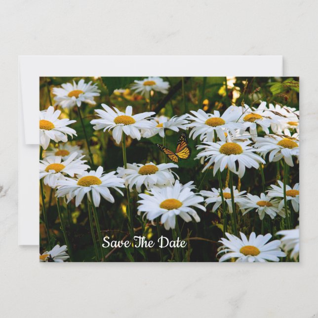 Summer Daisy Save the Date Einladung (Vorderseite)