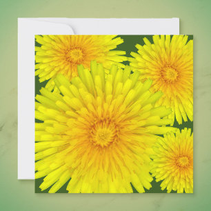 Summer Dandelion Mitteilungskarte