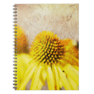 Summer Echinacea Blume Notizblock