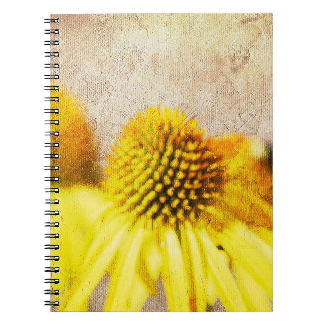 Summer Echinacea Blume Notizblock (Vorderseite)