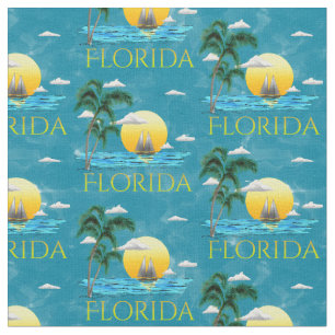 Summer Florida Sailboat Sunset Beach Coastal Stoff