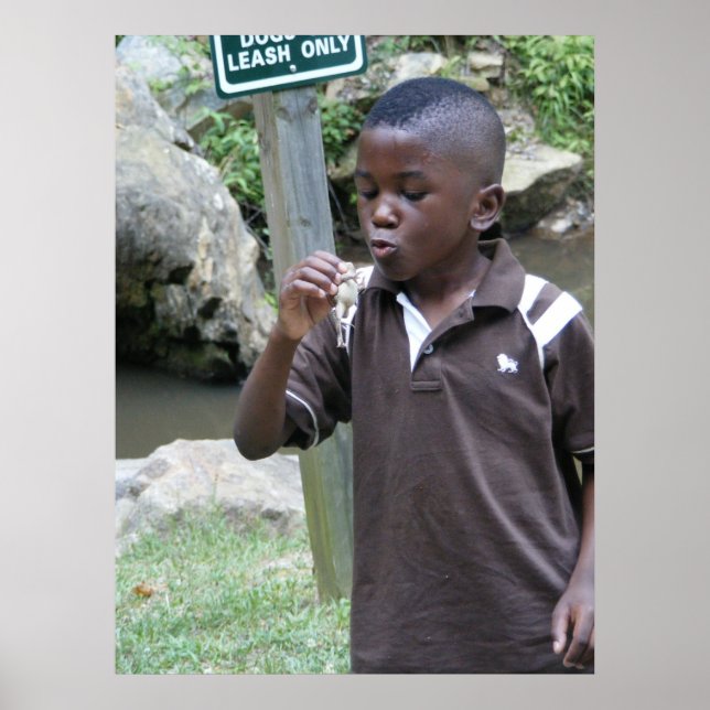 Summer Frogs Poster (Vorne)