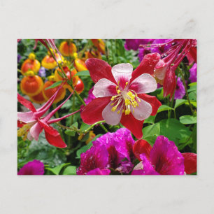 Summer Garden Postkarte