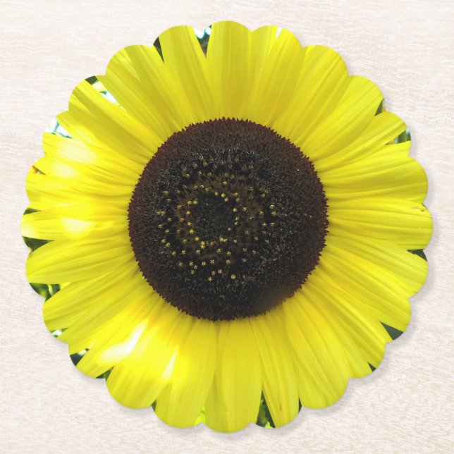 Summer Garden Sunflower Untersetzer (Vorderseite)