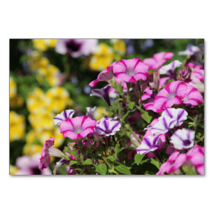 Summer Garden Tischkarte Tischnummer