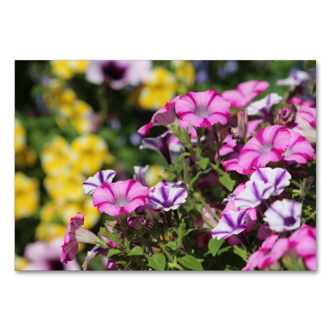 Summer Garden Tischkarte Tischnummer (Vorderseite)