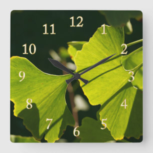 Summer Ginkgo Blätter Quadratische Wanduhr