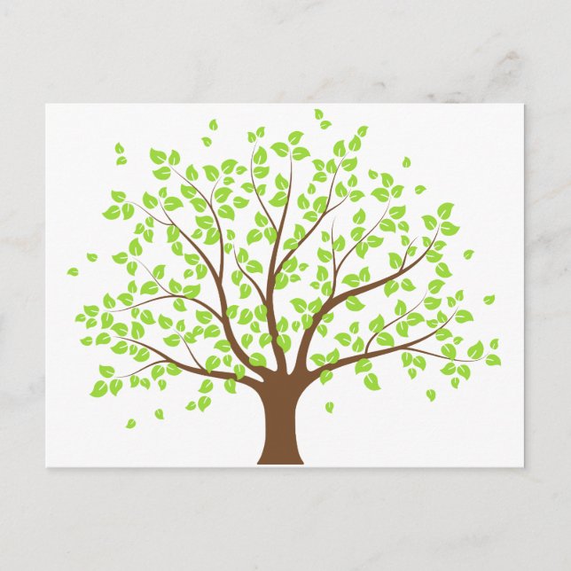 Summer Green Tree Postcard Postkarte (Vorderseite)