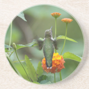 Summer Hummer Getränkeuntersetzer