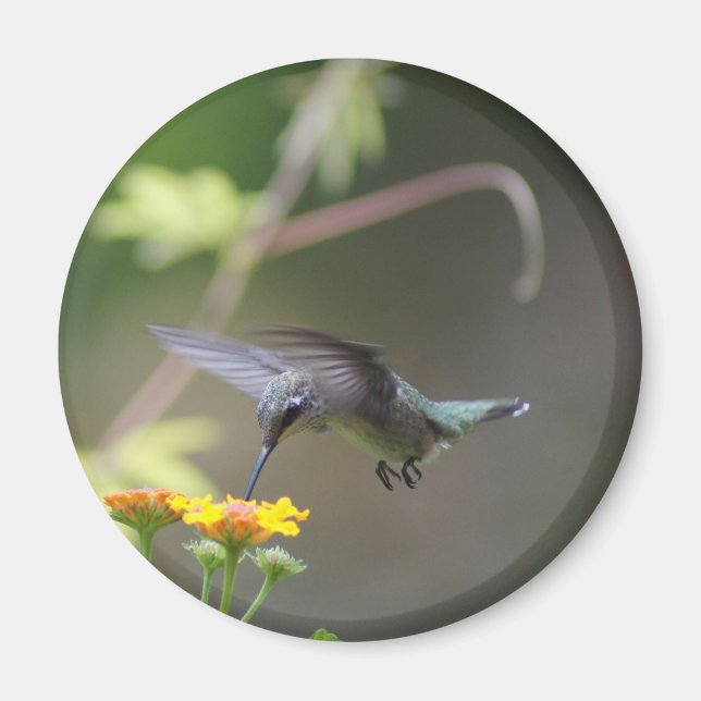Summer Humming Magnet (Vorne)