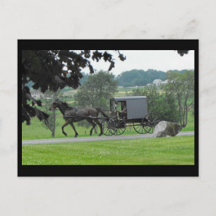 ~ Summer in Lancaster County ~ 71 Postkarte