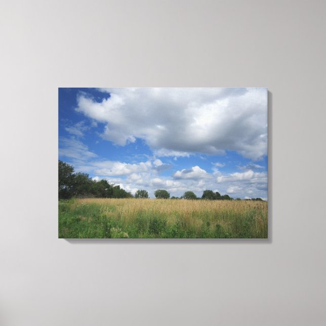 Summer Iowa Prairie Canvas Print Leinwanddruck (Vorderseite)
