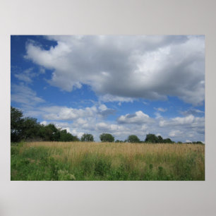 Summer Iowa Prairie Poster