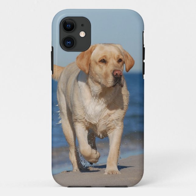 Summer Labrador Case-Mate iPhone Hülle (Rückseite)