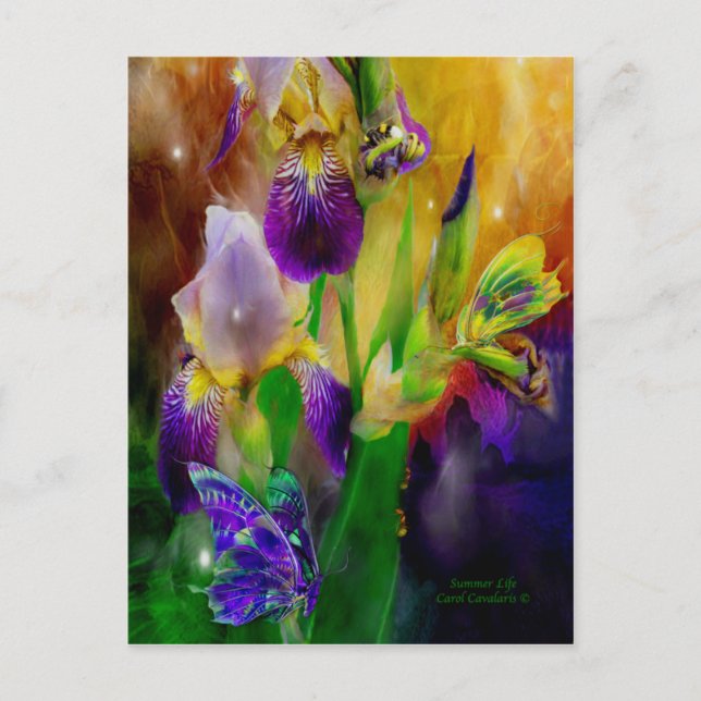 Summer Life Postcard Postkarte (Vorderseite)