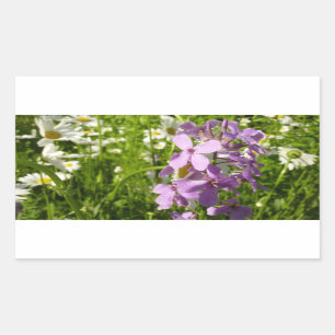 Summer Lilac und Daisies Rechteckiger Aufkleber