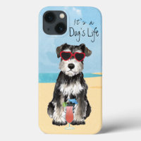 Summer Miniatur Schnauzer