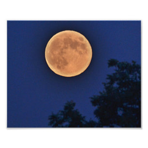 Summer Moon Foto Print