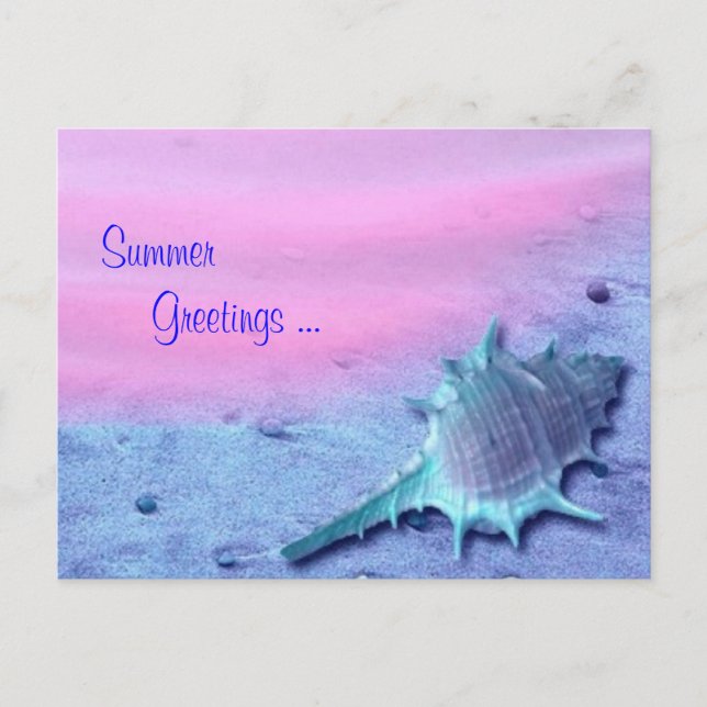 Summer Muschel Postcard Postkarte (Vorderseite)