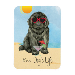 Summer Newfundland Magnet