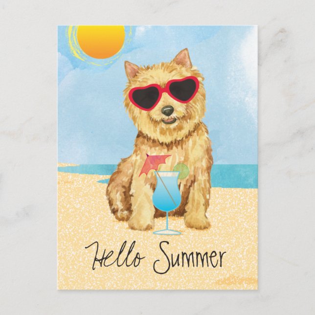 Summer Norwich Terrier Postcard Postkarte (Vorderseite)