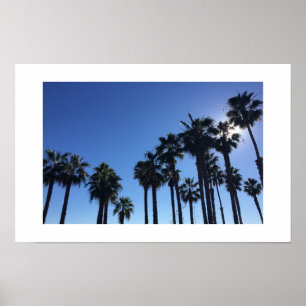 Summer Ocean Palms und Sky Color Fotografie Poster