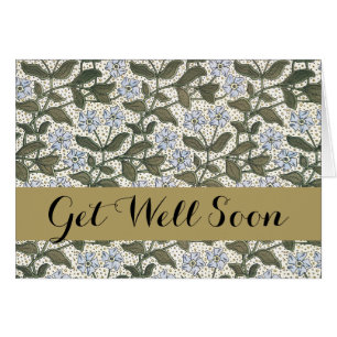 Summer Periwinkle Blume Hübsch Elegantes Flora