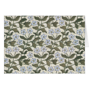 Summer Periwinkle Blume Hübsch Elegantes Flora