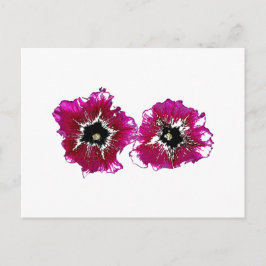 Summer Petunias Postkarte