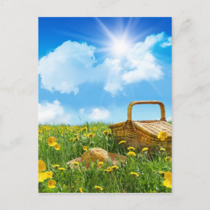 Summer Picnic Postkarte