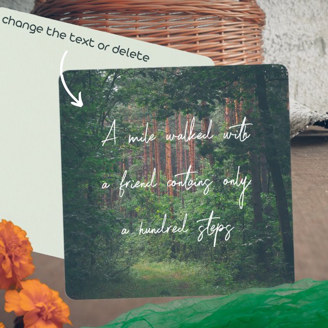 Summer pine forest path (Von Creator hochgeladen)