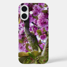 Summer Pink blühende Baumkrone Foto -