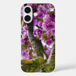 Summer Pink blühende Baumkrone Foto - iPhone 16 Hülle