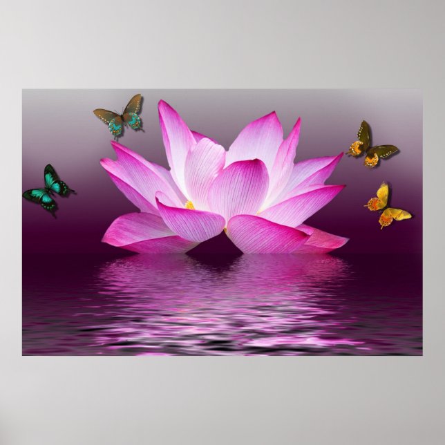 Summer Pink Lotus Blume und farbenfrohe Schmetterl Poster (Vorne)