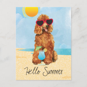 Summer Poodle Postkarte