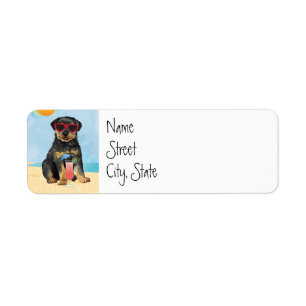 Summer Rottweiler