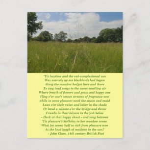 Summer Solstice Haymaking Postcard Postkarte