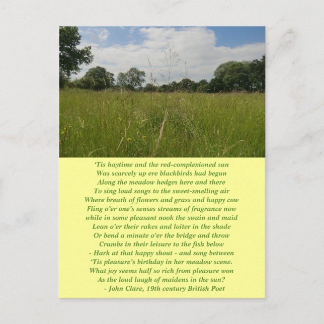 Summer Solstice Haymaking Postcard Postkarte (Vorderseite)