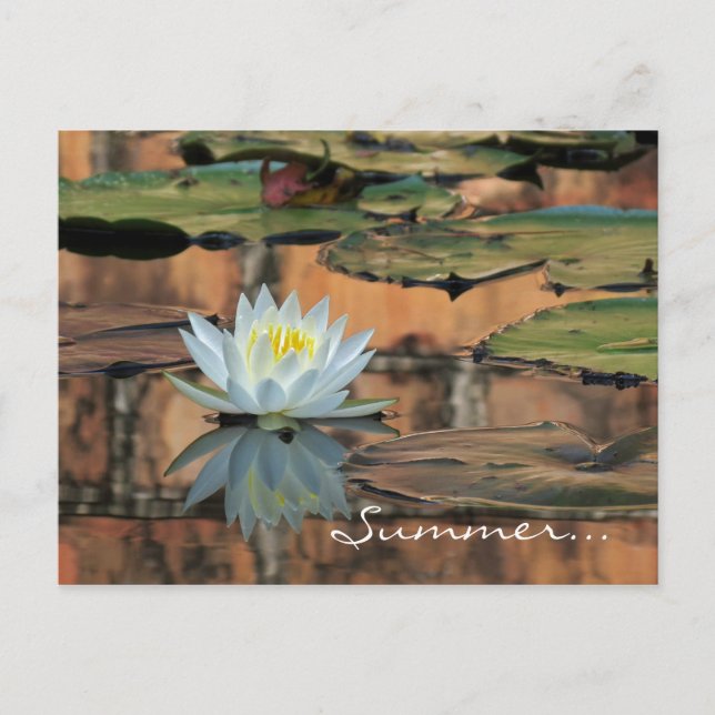 Summer Solstice Party Einladung Postkarte (Vorderseite)