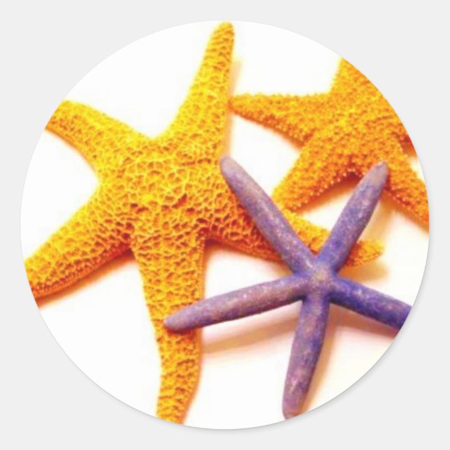 Summer Starfish Stickers (Vorderseite)