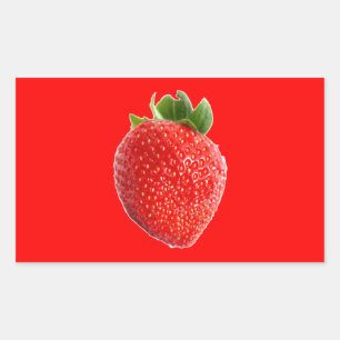 Summer Strawberry Rechteckiger Aufkleber